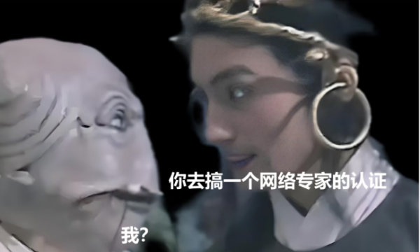 专家之路—H3CIE的前世今生